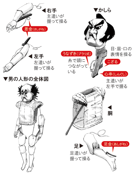人形のしくみ